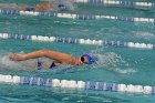 Swimming vs Bentley  Wheaton College Swimming vs Bentley. - Photo By: KEITH NORDSTROM : Wheaton, Swimming, Bentley